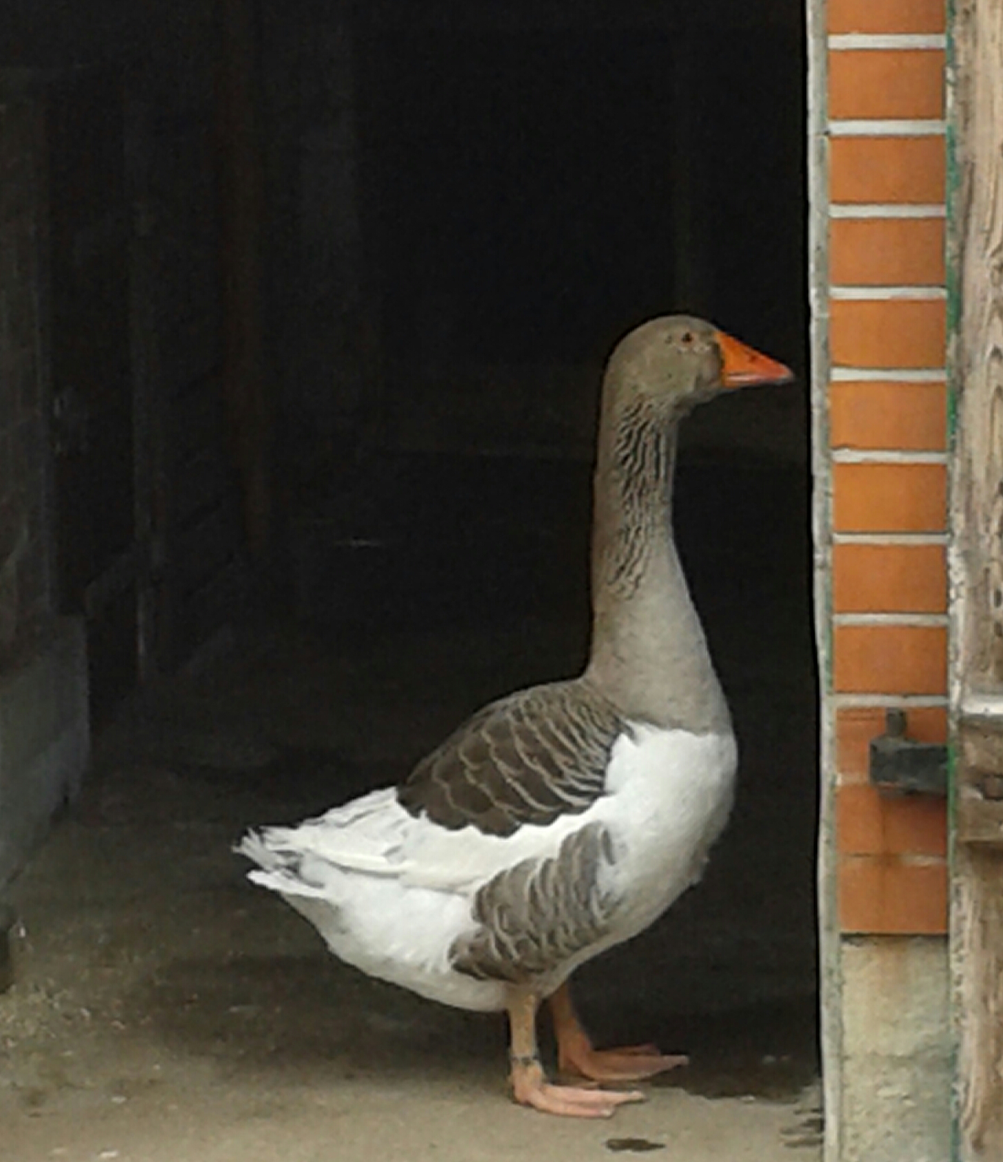 "DU KOMMST HIER NICHT REIN!!!"