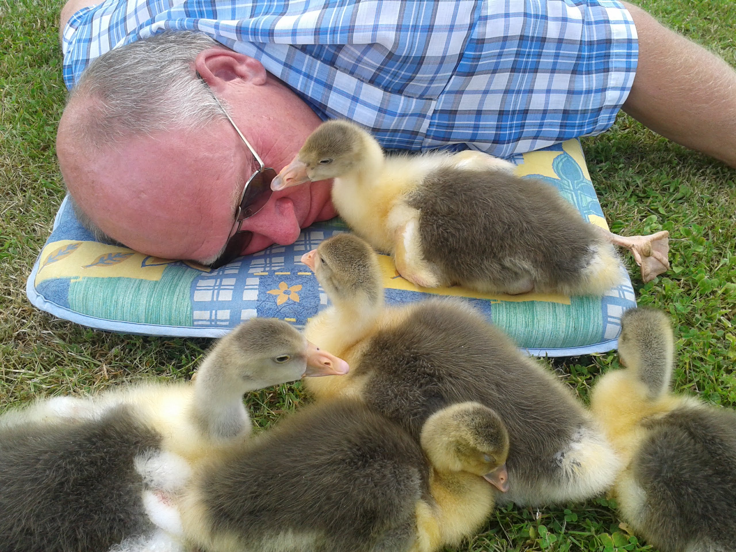Vormittags ist hin und wieder noch Zeit für eine kurze Schmuseeinheit.