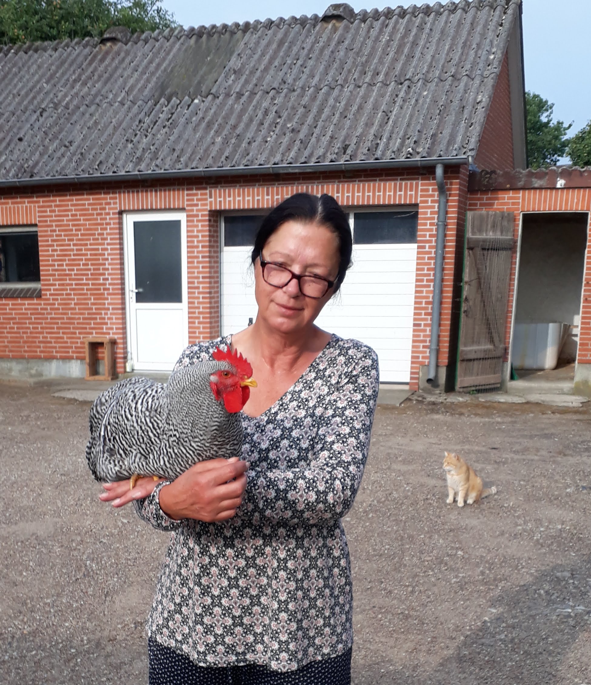 Vom 2. Tag an habe ich ihn dran gewöhnt im Stall auf meine Hand zu springen. Dann trage ich ihn raus, er bleibt sitzen. So zutraulich kann ich ihn stressfrei auf Parasiten untersuchen...