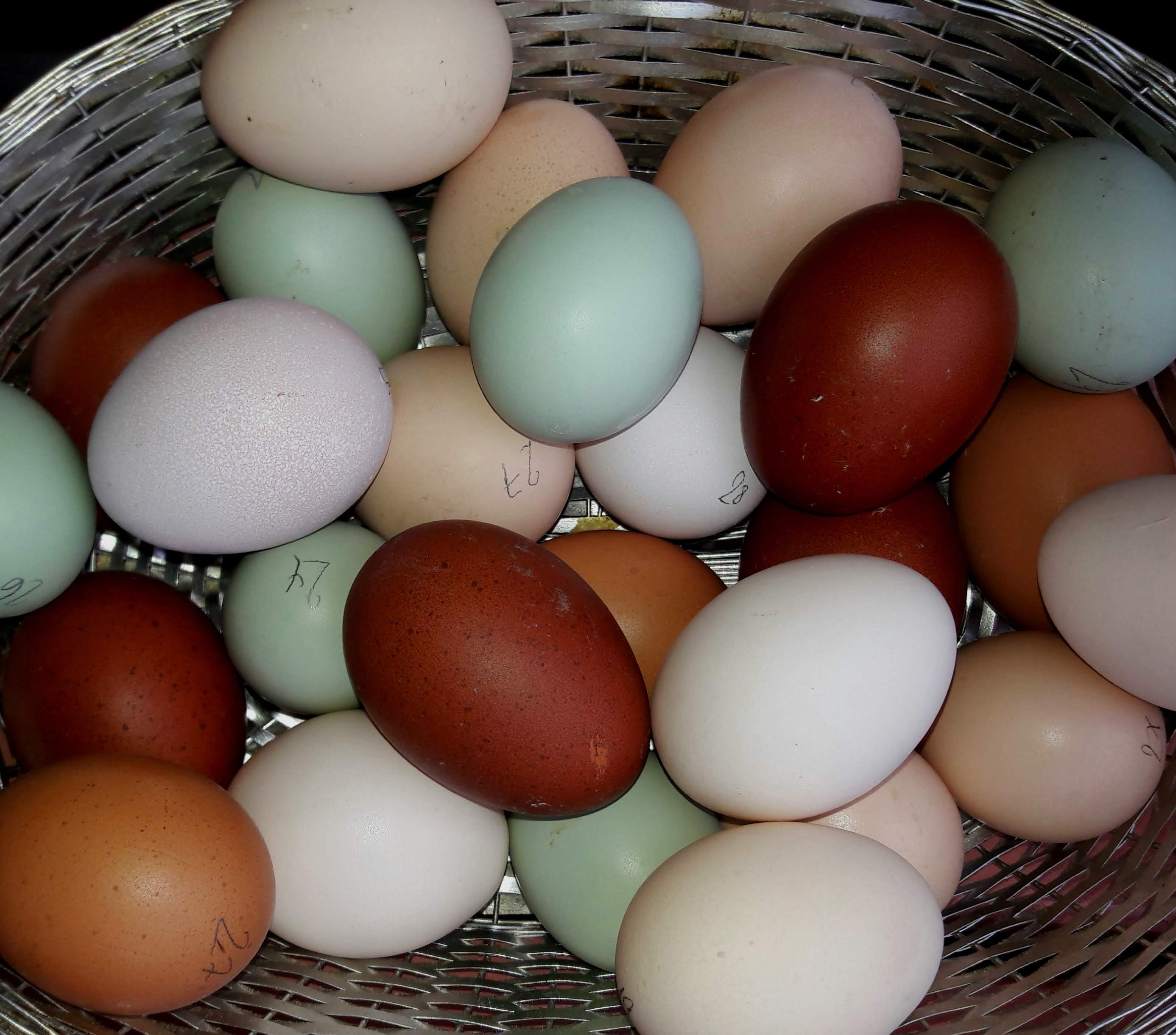 Ende Januar 20209:
Alles so schön bunt hier!