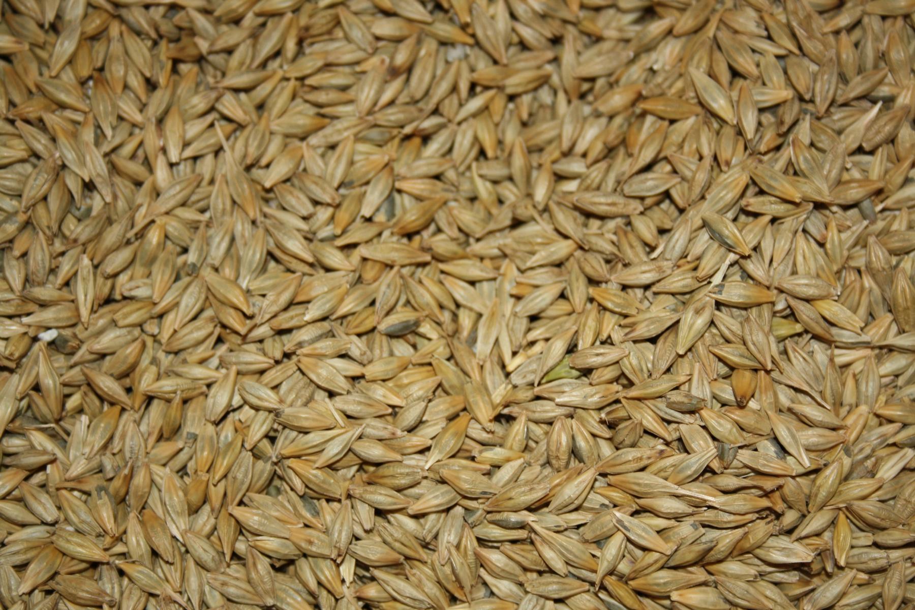 Gerste...... 25 kg für 6,50