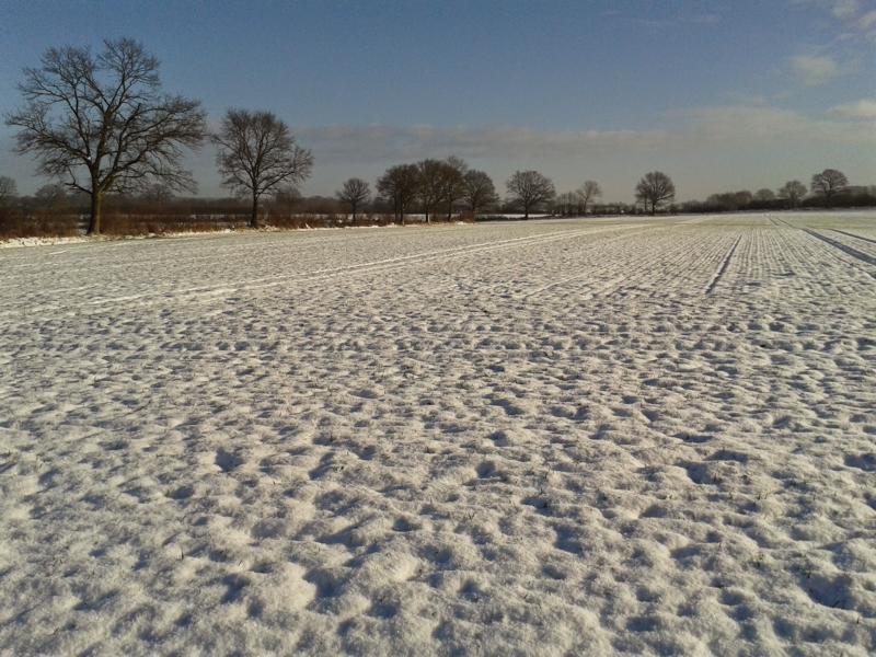 Morgens lag auf einmal richtig schöner Schnee!