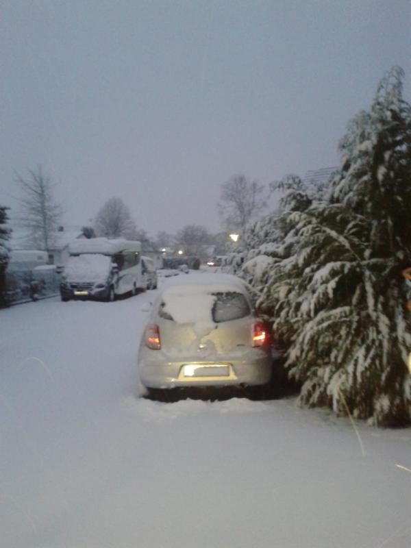 Aber am 29. März 2018 lag RICHTIG Schnee. 1 Tag vor Ostern. Und der 1. Schwung Gössel war am schlüpfen... allerdings im Esszimmer bei uns...