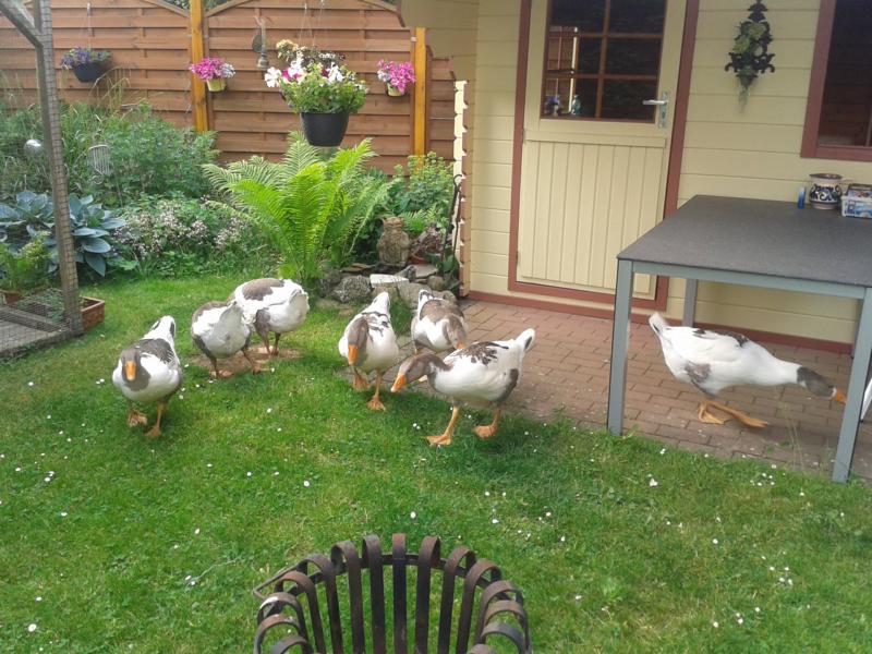 Kurz zuvor am Vormittag: "Nein. Ihr werdet sicher nicht eingeladen! Weg da - ich muss aufbauen."