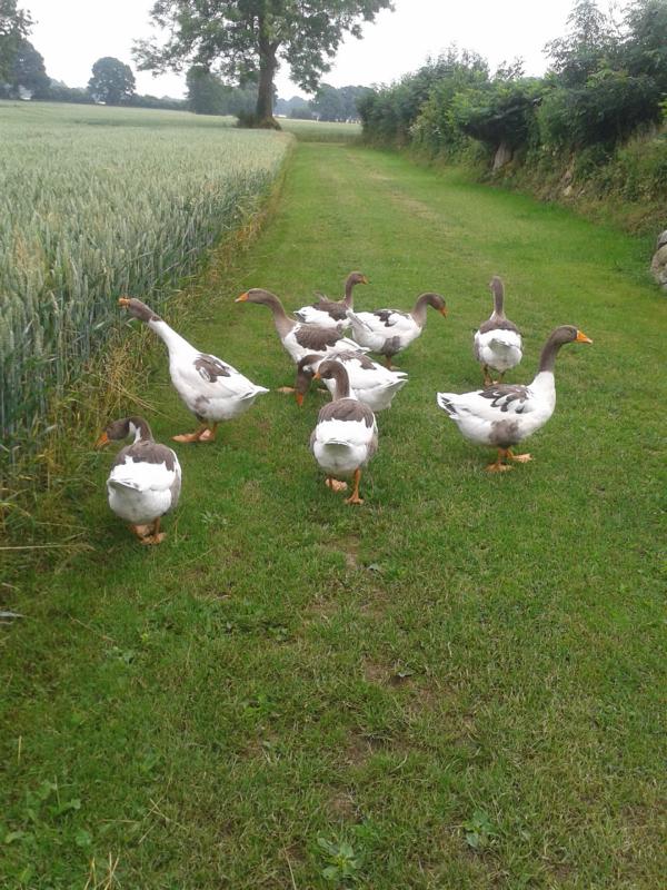 "Ja Ja. Gna Gna. Alles ganz gut und schön. Aber die 1. Qualitätskontrolle nehmen immer noch WIR vor! Überall und regelmäßig!!