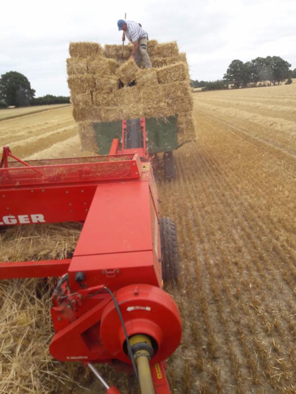 Sämtliches Getreidestroh wird aufgepresst. Alles wird verwertet!
