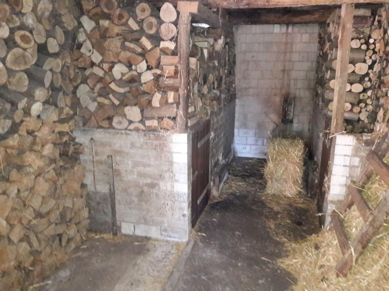 In den ehemaligen Ställen neben der Diele wohnen nicht nur die Gänse, sondern hier ist auch das Holz gestapelt, was bei Knickarbeiten und Rodungen anfällt. Für Schwiegermutters Küchenofen.