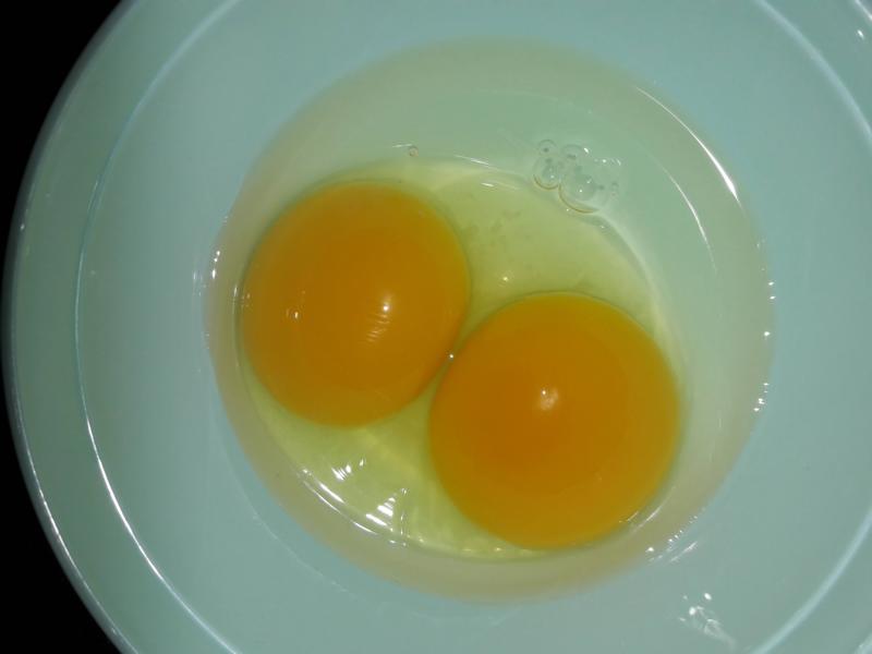 Wie erwartet: Ein Zwillings-Ei. Ein Doppeldotter. Schlüpfen würden Küken daraus nie. Es ist immer nur Platz für eines.