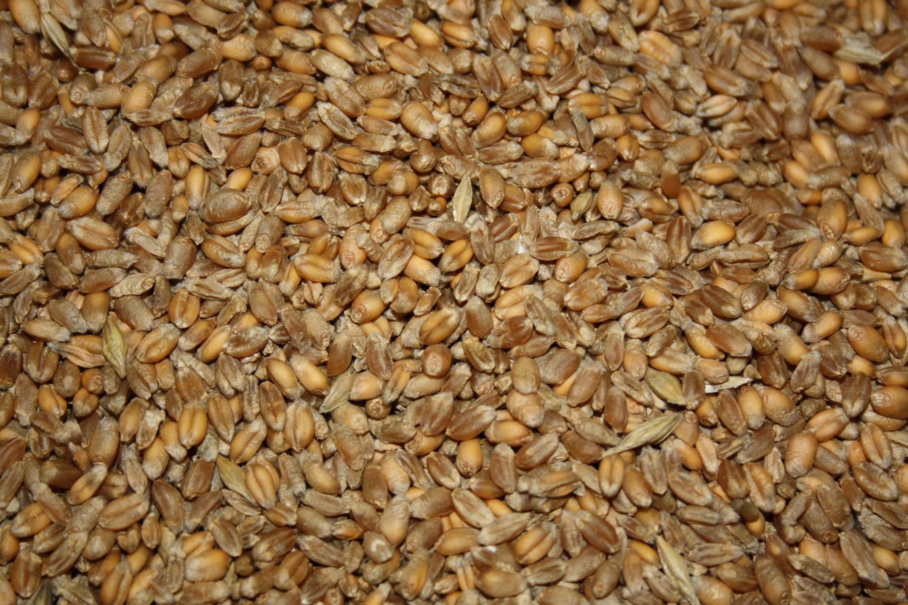 Weizen.....25 kg für 7,00